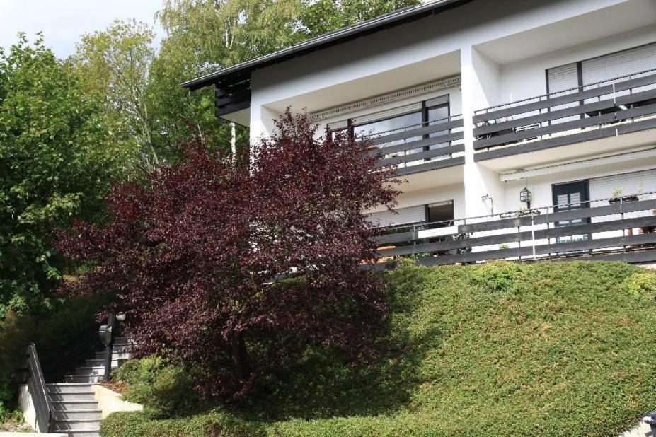 Appartement Maya Winterberg Esterno foto